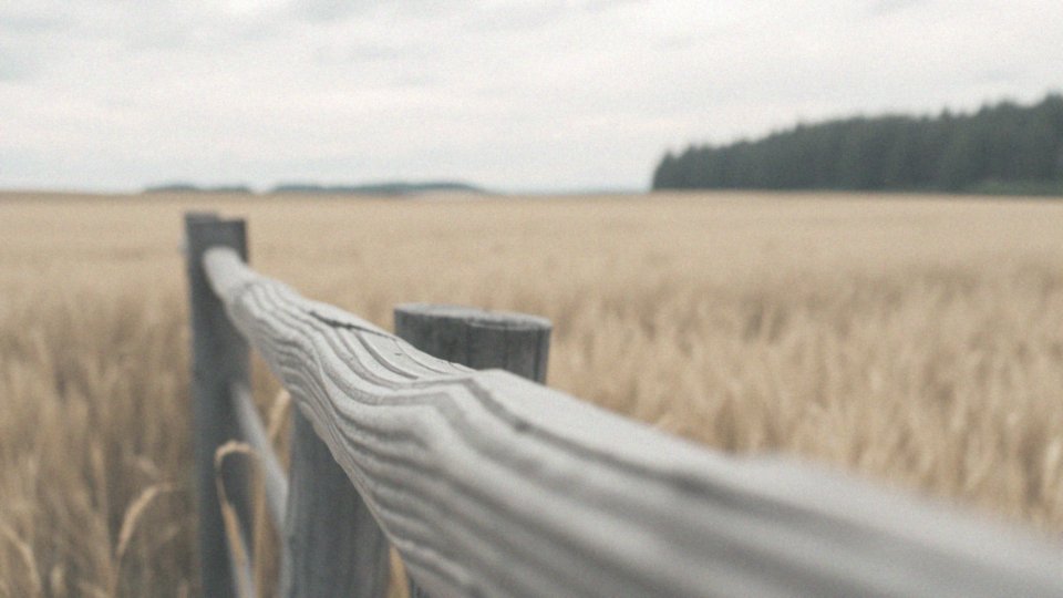 Co oznacza podniesiona przepona i jakie ma konsekwencje dla zdrowia?