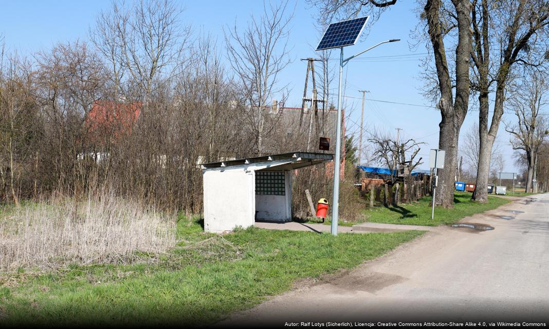 Obchody Narodowego Święta Niepodległości we Włoszczowie